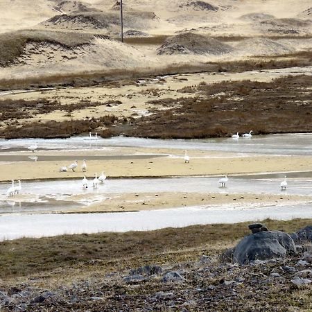 PatreksfjordurStekkar 23アパートメント エクステリア 写真